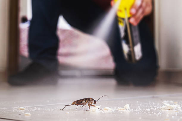 Best Pest Removal Services  in USA